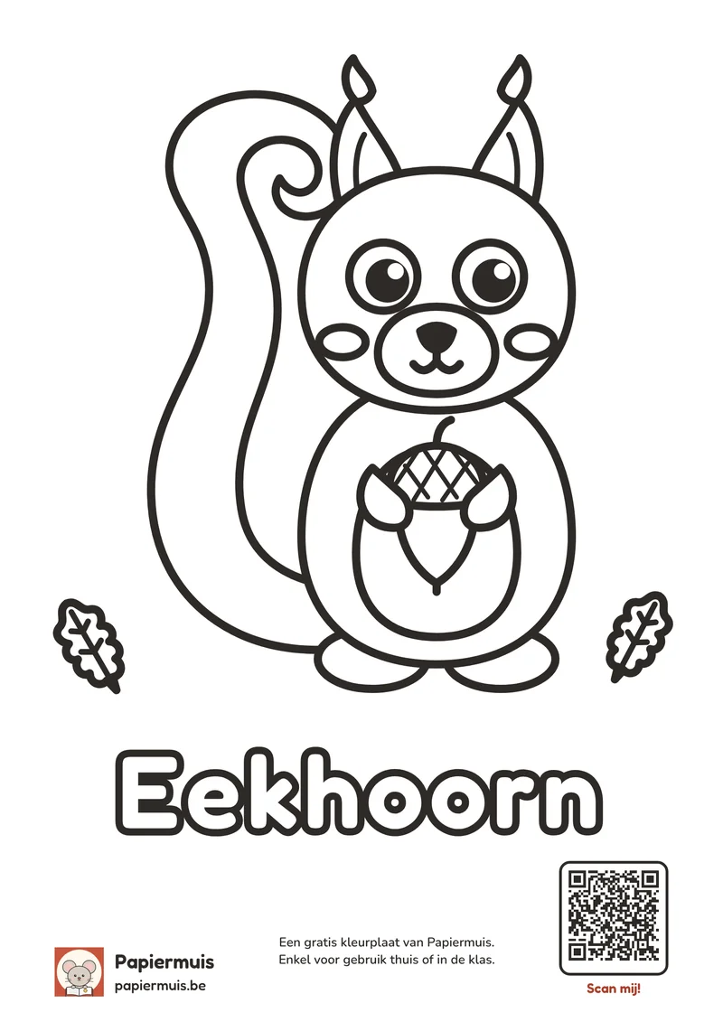 Voorbeeld van de gratis kleurplaat eekhoorn
