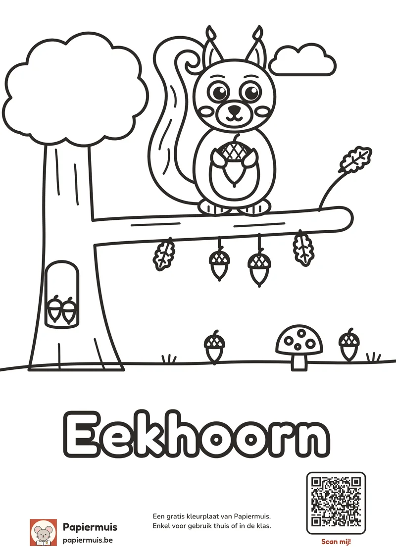 Kleurplaat eekhoorn, op een tak met eikels, blaadjes en een paddenstoel voor kleuters